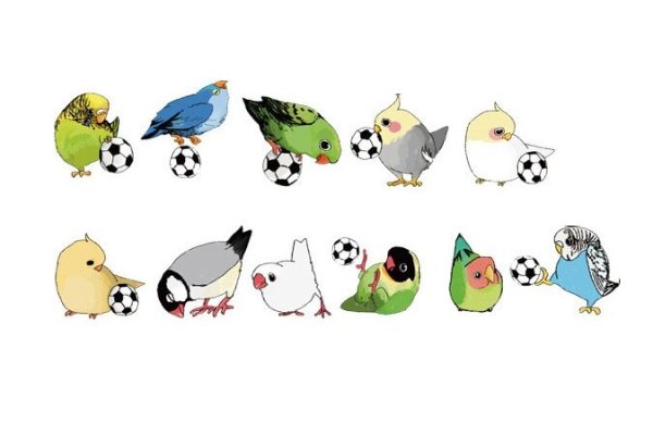 Попугай в разных позах