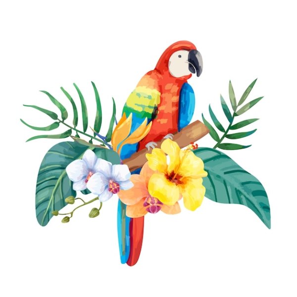 Наклейка попугай