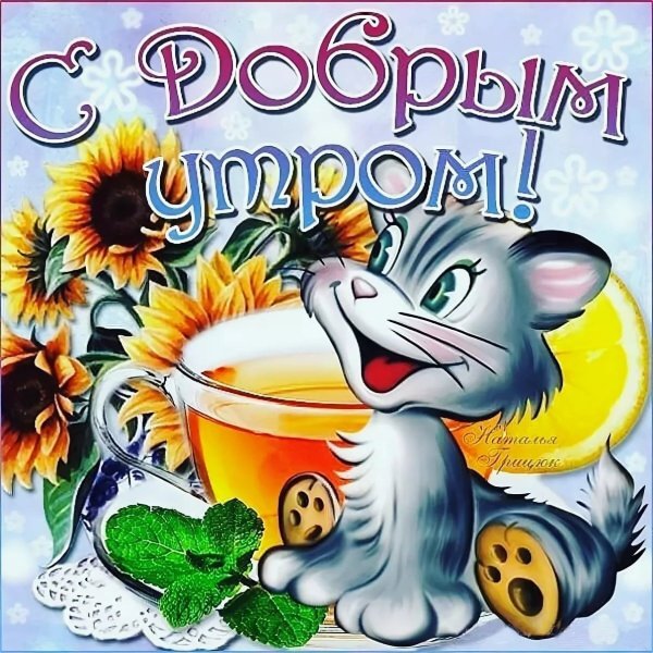 Стикеры с юмором