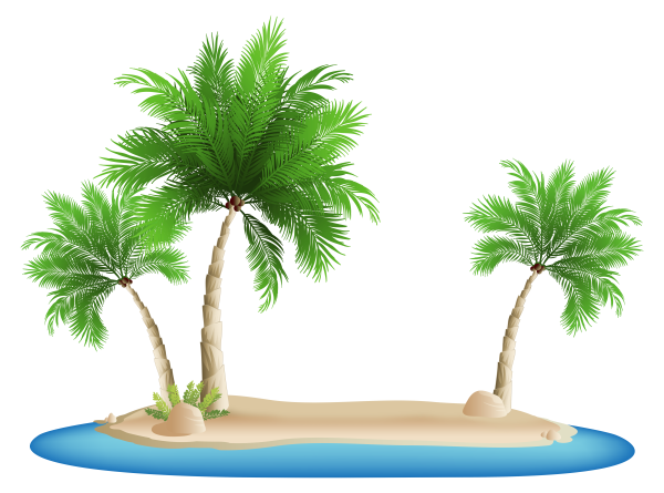 Пальма на прозрачном фоне