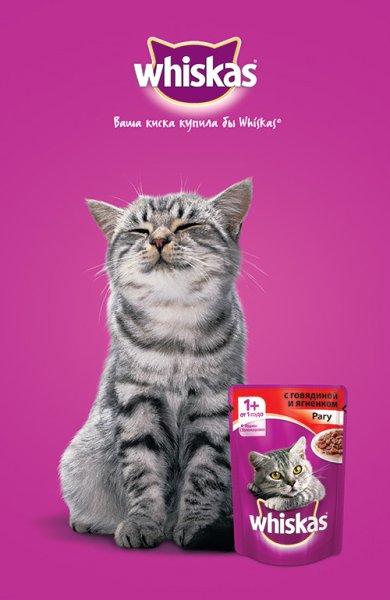 Whiskas для котят реклама