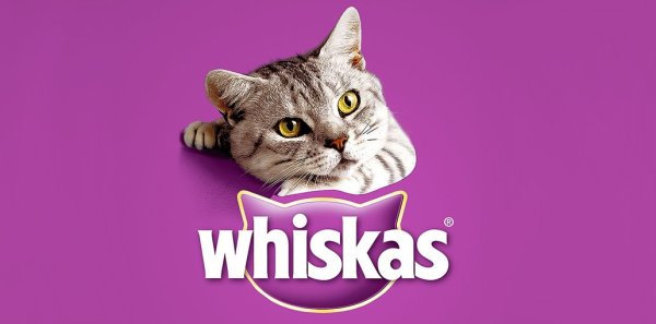 Whiskas для котят реклама