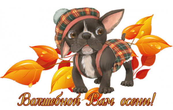 Стикер доброе утро