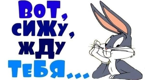 Я жду тебя картинки