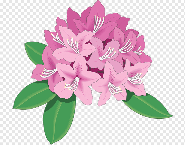 Красивые логотипы с цветами