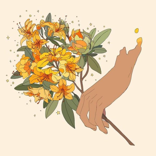 Одиночные розовые цветки