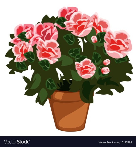 Цветок в горшкеркференс