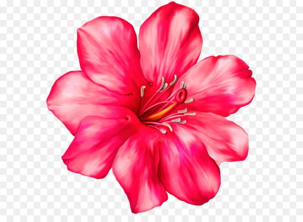 К поп Стикеры Блэк Пинк