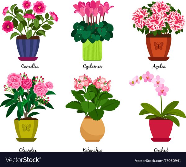 Наклейки с портретами девушек и аксессуарами