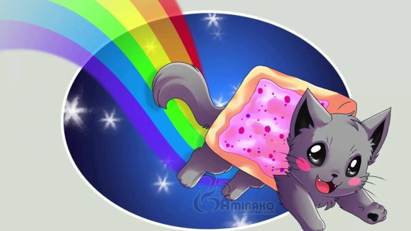 Nyan Cat на прозрачном фоне