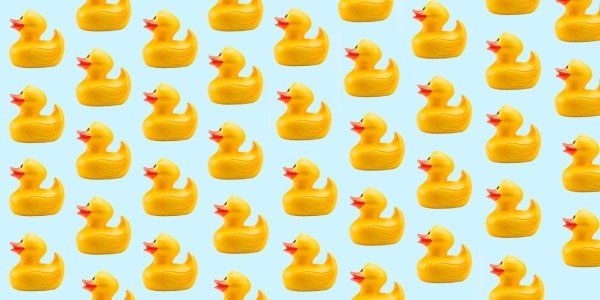 Цыпленок для срисовки