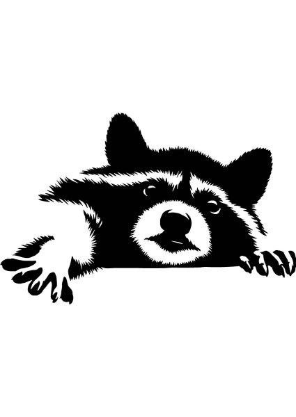 Енот наклейка