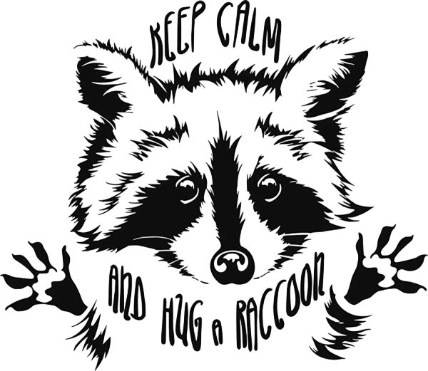 Енот эмблема