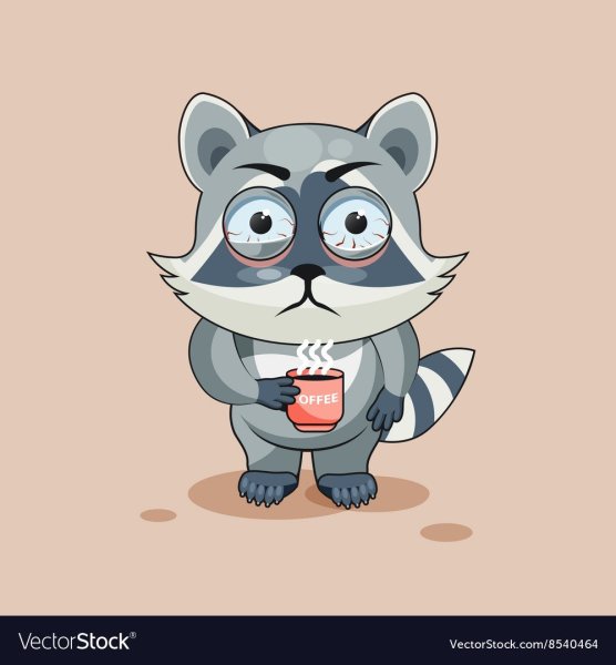 Невыспавшийся енот