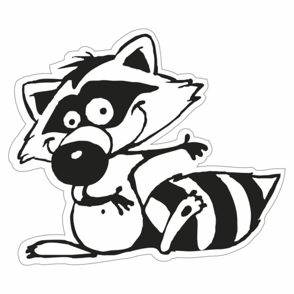 Енот рисунок