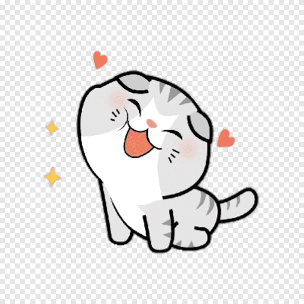 Умиляющийся котик