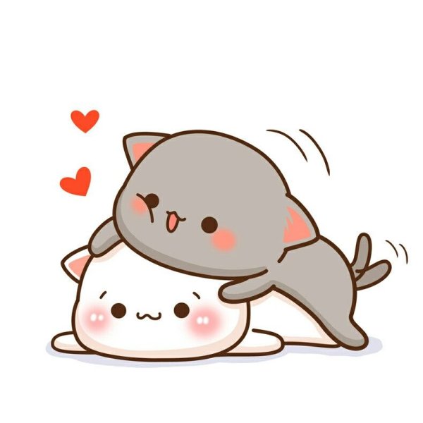 Кавайные котики любовь