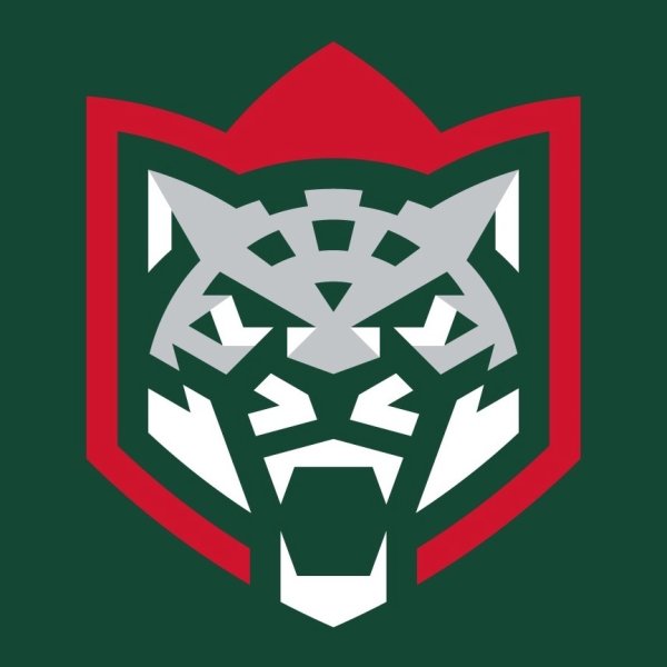 Барс Волгоград