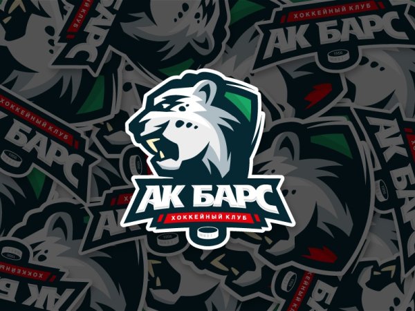 Флаг хк АК Барс
