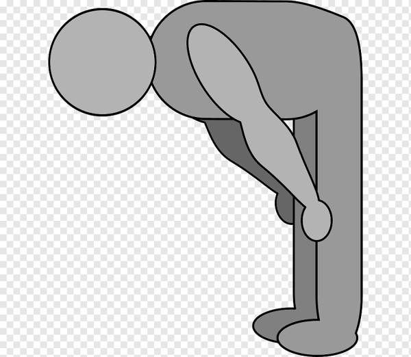 Векторный член