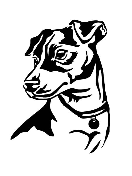 Джек Рассел