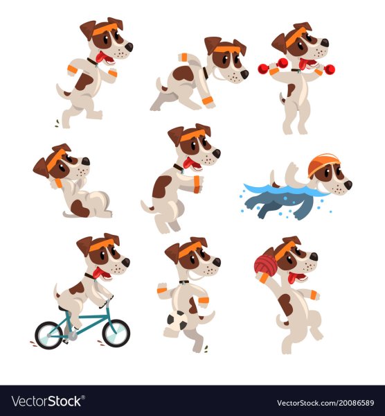 Шаблончик собачка Джек Рассел терьер