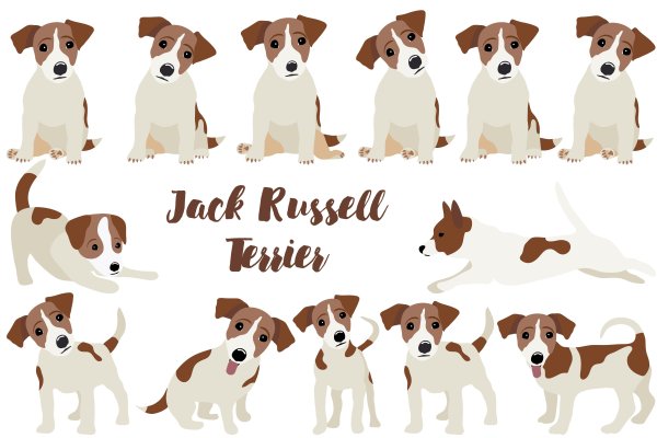 Джек Рассел вектор