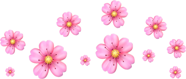 Стикер цветочек айфон