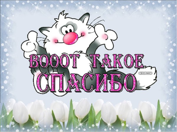 Спасибо за поздравления
