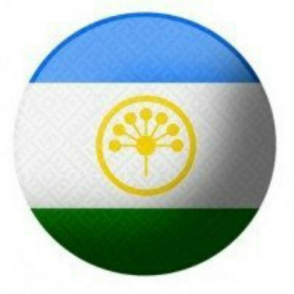 Курай на флаге Башкортостана