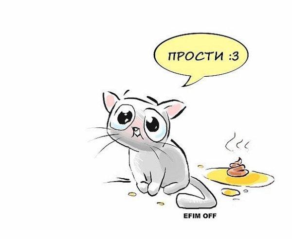 Смешные открытки прости