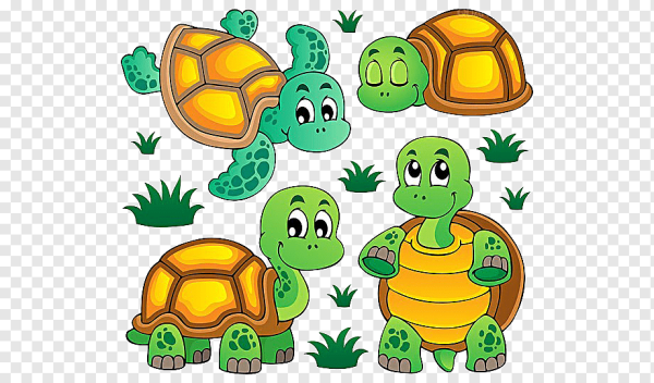 Четыре черепахи четыре черепашонка