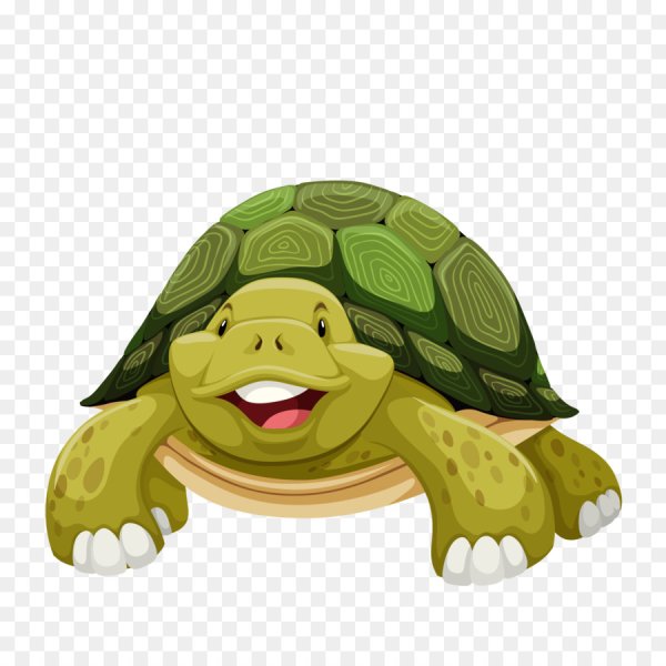 Мультяшные черепахи