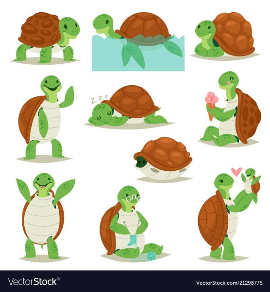 Черепаха рисунок