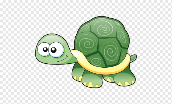 Черепаха вектор