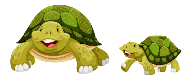 Маленькая черепашка мультяшная