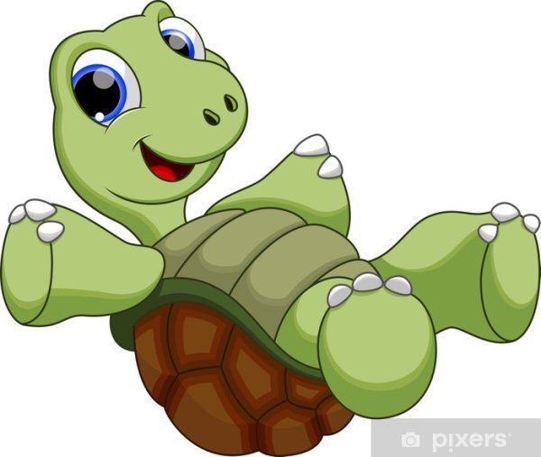 Силуэт черепахи