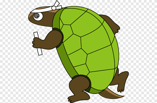 Черепашка из яйца