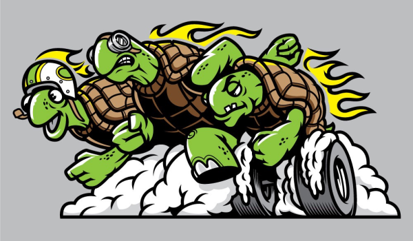 Черепаший панцирь Черепашки ниндзя