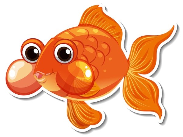 Строение золотой рыбки