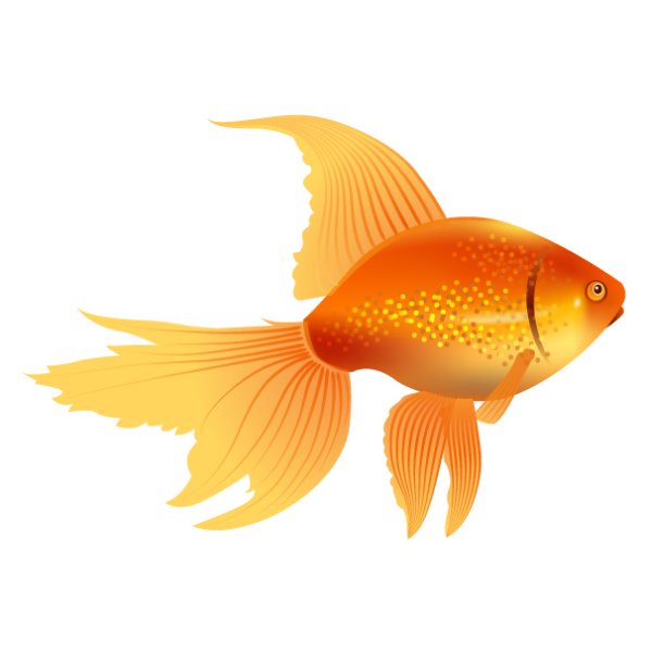 Золотая рыбка векторное изображение