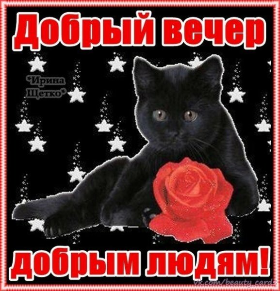 Стикеры добрый вечер красивые