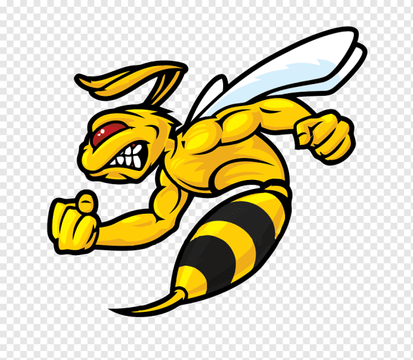 Хорнет пчела