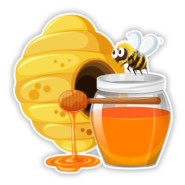 Гречишный мёд пчела