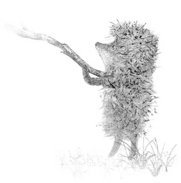 Ежик в тумане