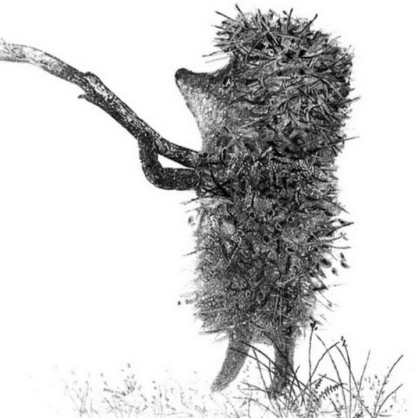 Ежик в тумане на прозрачном фоне