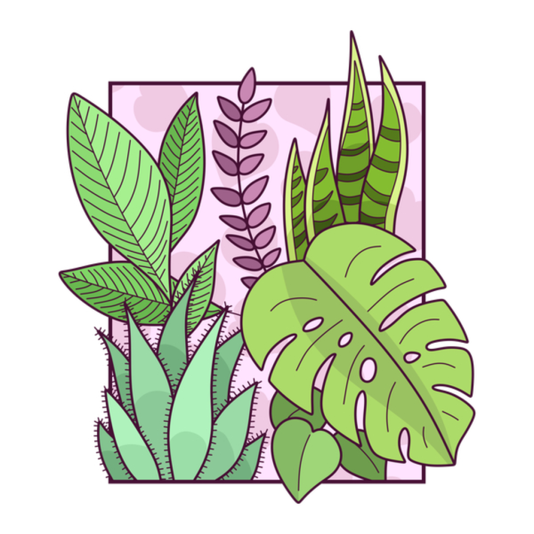 Нарисовать растение