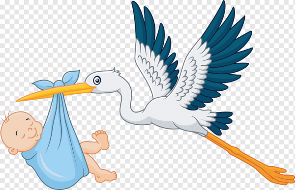 Аист несет ребенка