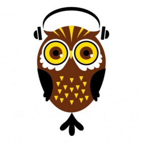 Совы картинки мультяшные