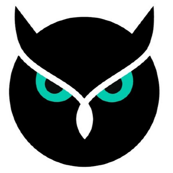 Сова логотип